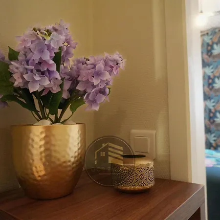 Le Berthelot T2 With Free Parking Grenoble