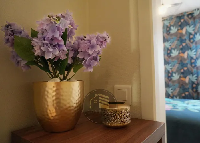 Le Berthelot T2 With Free Parking Grenoble